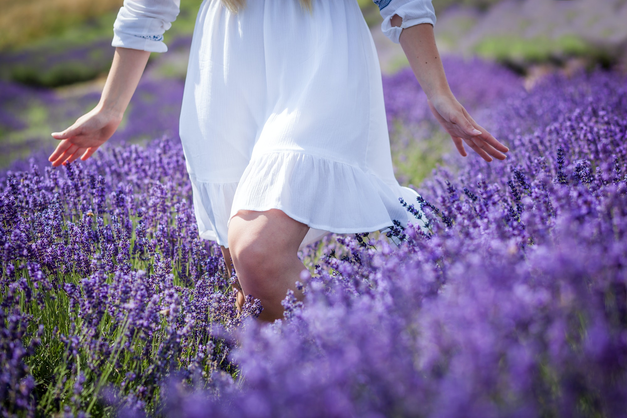 Hippie girl walking in lavender field, freedom concept